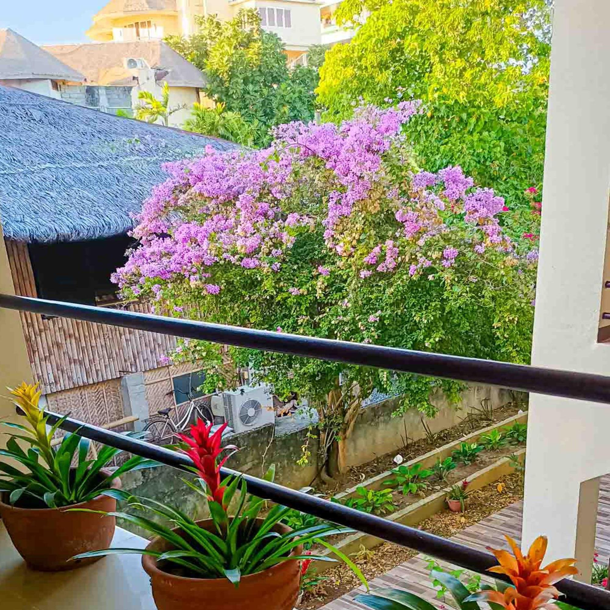 Lukay Las Brisas 발라박 외부 사진